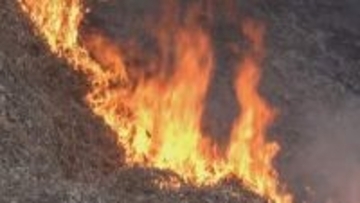 枯草を焼く火に巻き込まれ84歳男性が死亡…野焼きに注意　発生件数は去年の2倍　消防「“たき火届”出し、消火器や水を用意して」