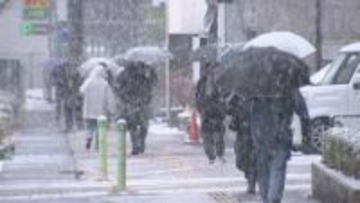 一時、大粒の雪　積雪は菅平24センチ、大町22センチ、信濃町14センチ、長野3センチ（15日午前9時）