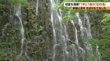 「1年に1度だけ「幻の滝」　落差は約50メートル　長野県木島平村に出現　手打ちそばのふるまいも」の画像1