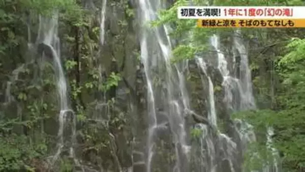 1年に1度だけ「幻の滝」　落差は約50メートル　長野県木島平村に出現　手打ちそばのふるまいも