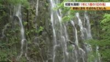 1年に1度だけ「幻の滝」　落差は約50メートル　長野県木島平村に出現　手打ちそばのふるまいも