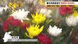 「迎え盆を前に　善光寺表参道で恒例の「お花市」　先祖に供える色とりどりの盆花　「9月中旬～下旬並み」の過ごしやすい一日　12日の最高気温は長野27.3度、松本25.1度」の画像1