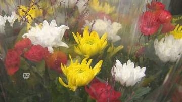迎え盆を前に　善光寺表参道で恒例の「お花市」　先祖に供える色とりどりの盆花　「9月中旬～下旬並み」の過ごしやすい一日　12日の最高気温は長野27.3度、松本25.1度