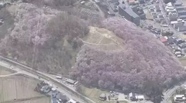 “日本最古級”の古墳か!?「これまでより50年古い」再調査で判明　桜の名所・松本市の「弘法山古墳」　形状や出土品から「3世紀前半～半ば」築造と推定　「ヤマト政権前に造られた独自の古墳か」　長野