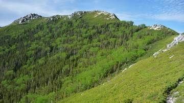 「滝の近くで倒れている男性を発見した」登山者が通報　北アルプス餓鬼岳の登山道近くに遺体　岡山県倉敷市の64歳男性と判明　登山道から滑落の可能性