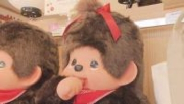 50代母「世代」、20代娘「大好き」　「モンチッチ」が再ブーム　京都に続く2つ目の専門店が長野市の善光寺仲見世通りにオープン　店限定の商品も