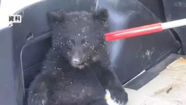 子グマが線路の近くに　付近には小学校　列車の運転士が目撃　警察が住民に注意呼びかけ　長野・白馬村