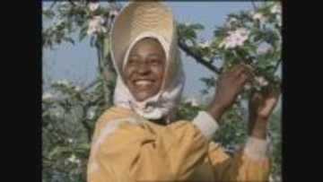 「外国人いらない」と4回断られても　長野のりんご農家に嫁いだタンザニア人女性　30年間で2800万円を母国支援　黒人差別乗り越え「価値は一緒」貫く　♯1