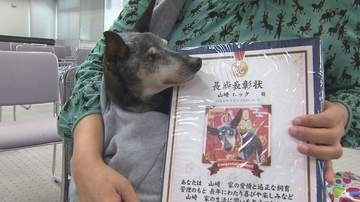 19歳6カ月の愛犬「ロック」に感謝　飼い主「夜泣きやトイレでお世話するのが大変な毎日ですが、1日でも長く一緒に過ごしてほしい」　動物愛護週間に合わせ「ご長寿犬」を表彰