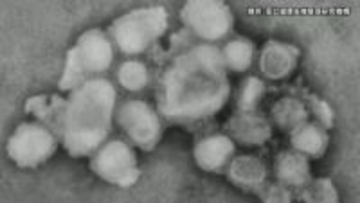 インフルエンザ大幅増　B型の感染が広がったか　保育施設・小学校・中学校・高校の休園休校2、学年閉鎖20、学級閉鎖63　上田、松本で「警報レベル」　長野県