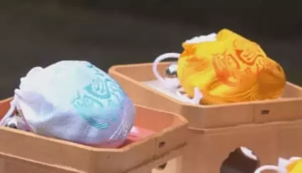 「馬のようにがんばっていただければ」　諏訪大社が初詣で頒布する限定のお守りは「願馬守」　　基本デザインは地元の高校生