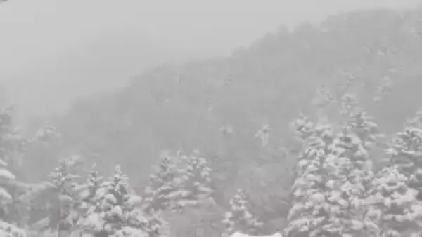 バックカントリーで韓国籍の38歳男性が行動不能　一夜明け、救助　長野県内の山林で遭難相次ぐ　1月、9件12人　11人が外国籍　2人死亡、1人行方不明