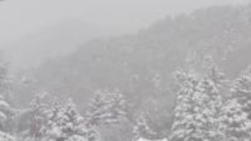 バックカントリーで韓国籍の38歳男性が行動不能　一夜明け、救助　長野県内の山林で遭難相次ぐ　1月、9件12人　11人が外国籍　2人死亡、1人行方不明