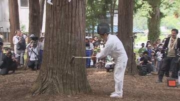 善光寺御開帳へ　「回向柱」は樹齢250年以上の杉　前立本尊と“善の綱”で結ばれる御開帳のシンボル　「平和を願って」斧入れ　2027年4月4日から77日間開催　長野市