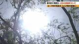 「長野県内初の「真夏日」　上田は全国最高30.4℃　2人が熱中症疑い　佐久市で高齢女性が畑で倒れ意識のない状態で搬送　松本市では遠足中の小学生が搬送」の画像1