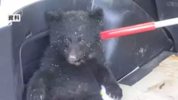 「クマがいた」付近では約2時間前にも子グマの目撃情報　警察が住人に注意呼びかけ　長野・大町市