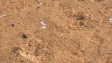 クマが子どもの通学時間帯に　目撃者「住宅街に…130センチくらい」　同時間帯に複数の目撃情報　周辺に足跡も　市や警察がパトロール　長野・大町市