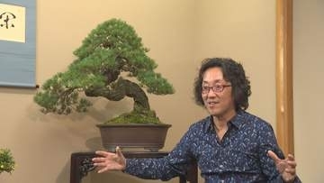 「毎日水をかけなければ、言葉なくして枯れゆくもの」100年を超える命をつなぐ男　長野・小布施の盆栽作家・鈴木伸二の世界