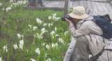 「「幻想的できれい！」標高約1900ｍの栂池自然園でグリーンシーズン営業始まる　例年より3週間ほど早くミズバショウ見ごろに　長野・小谷村」の画像1