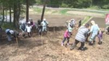 胃腸薬の原料のキハダを植樹　昔からの生薬も現在は中国からの輸入に頼る　将来をにらみ15年後には植えた木から最初の製造目指す