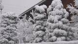 「白馬村で積雪5センチ　長野県北部で雪　予想最高気温は長野、松本で4℃…前日より10℃低く寒い1日に」の画像1