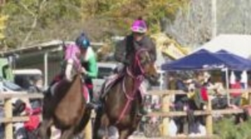 サラブレッドや農耕馬が駆け出す！　「望月の里　草競馬大会」　ポニーのレースでは落馬のアクシデントも　長野・佐久市