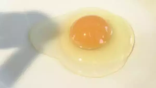 ケーキ店、おでんが売りの店は悲鳴…卵の価格高騰“1キロ当たり326円”　「エッグショック」に迫る高値