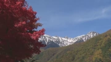 「紅葉の穴場」全国2位に選出　駒ケ根の魅力　冠雪の中央アルプスと紅葉　川沿いに1000本以上のもみじ　標高2600mの高原　2カ月半も紅葉楽しめます