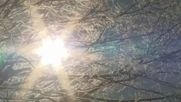 「水道、トイレの水が凍っていた」上田市菅平の23日の最低気温は−23.9℃　北海道・占冠の－25.1℃に次ぐ全国2位の寒さ　空気中の水分が凍り「ダイヤモンドダスト」もみられる