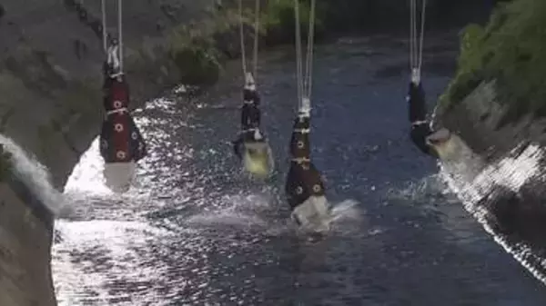 逆さづりになって踊る「橋がかり」に大歓声　千曲市「雨宮の御神事」　コロナ禍を経て、9年ぶり通常開催