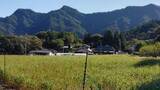 「展望の穴場「京ヶ倉」　下山中に名古屋市の51歳の女性が転倒　自ら消防に救助を要請　足首を骨折の模様」の画像1