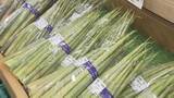 「「今が一番安い」初夏の味“ネマガリダケ”早くもピーク　直売所にぎわう　サバ缶と味わう「タケノコ汁」に、変わり種のカレーも　暖かさと少雪で例年より3週間早く」の画像1