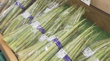 「今が一番安い」初夏の味“ネマガリダケ”早くもピーク　直売所にぎわう　サバ缶と味わう「タケノコ汁」に、変わり種のカレーも　暖かさと少雪で例年より3週間早く