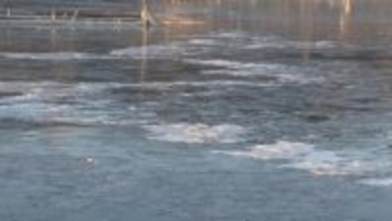 諏訪湖が「全面結氷」今シーズン初　「御神渡り」に期待