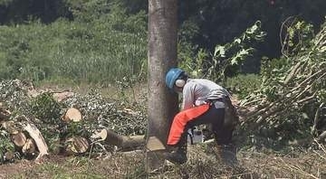 住民3人がクマに襲われる被害　河川敷で草木の伐採　「クマは裸で姿を現すことを非常に嫌がる」　隠れ場所や通り道をなくして「人里への出没抑止につながれば」　長野・飯山市