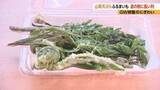 「「無料」に長い例　「山菜の天ぷら」道の駅で200食限定　長野県内産のコシアブラ、フキノトウ、コゴミ、セリの4種類　長野・青木村」の画像1