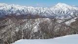 「戸隠連峰本院岳で富山の女性（46）遭難　雪渓歩いていて滑落か　付近で姿見当たらず県警ヘリで上空から捜索中　「同行者が滑落した」と救助要請」の画像1