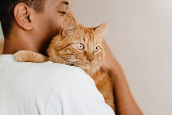 猫を見送る『葬儀社』を選ぶときのポイント4選　良い業者の見分け方や起こりうるトラブルまで