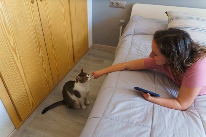 猫が飼い主の『腕の中で寝たがる』理由4つ　安心してくれている証？上手に対応するコツまで
