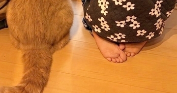 窓の外を眺める女の子と猫→2年半後に『同じ場所』で撮影すると…ほっこりする光景が200万表示「可愛いが増えたｗ」「子供の成長は早い」