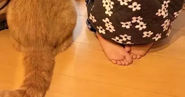 窓の外を眺める女の子と猫→2年半後に『同じ場所』で撮影すると…ほっこりする光景が200万表示「可愛いが増えたｗ」「子供の成長は早い」