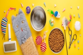 猫を新しく迎えるとき『先代猫のおさがり』は使ってもいい？各アイテムごとに解説