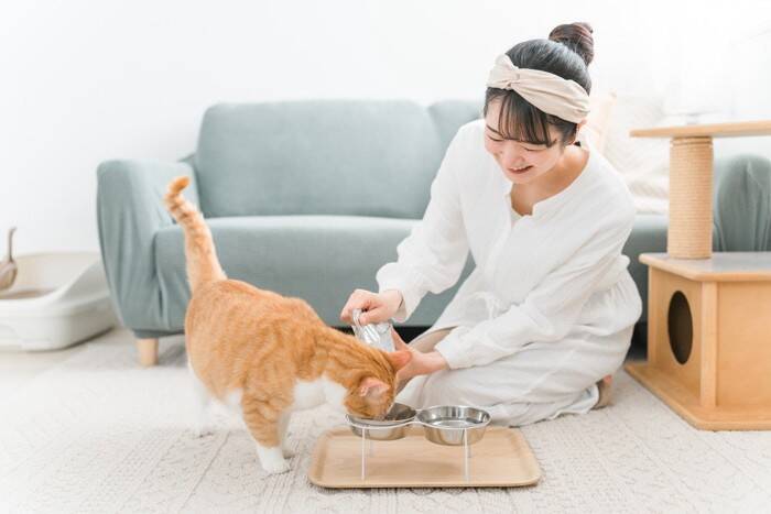 猫を新しく迎えるとき『先代猫のおさがり』は使ってもいい？各アイテムごとに解説