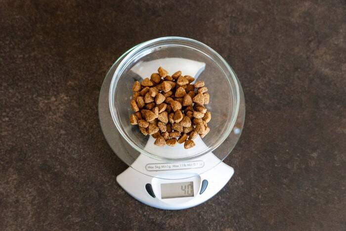 猫に与えるご飯の『適正カロリー』とは？年齢や体格などに合わせた計算式も