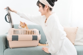 猫のために用意しておきたい『救急グッズ』5選　急なケガや不調に慌てないために