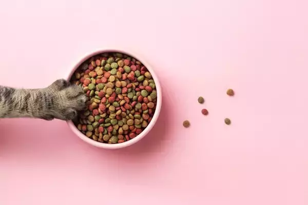 猫が『隠れてご飯を食べる』ときの心理4つ　落ち着かない理由や安心させる方法まで