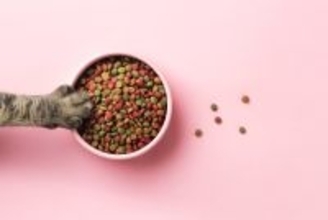 猫が『隠れてご飯を食べる』ときの心理4つ　落ち着かない理由や安心させる方法まで