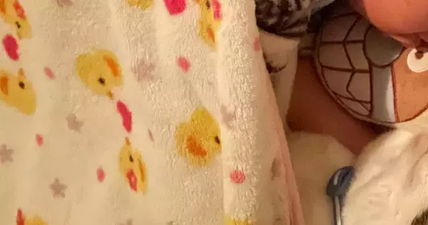 猫たちが見当たらない→家の中を探していると…信じられないほどに尊い光景が122万表示「泣けてきた」「可愛すぎて無理」「幸せしかない」