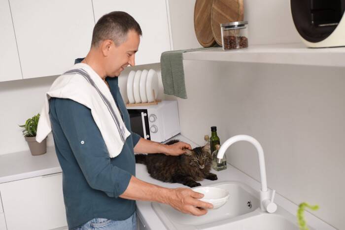 猫に使ってはいけない『食器』4選　避けるべき理由から選び方のポイントまで