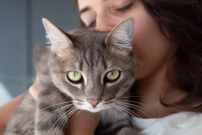 猫の体から『いいニオイ』がする理由3つ　お風呂に入らなくても臭くないのはなぜ？